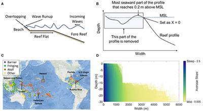 Hydro-Morphological Characterization of Coral Reefs for Wave Runup Prediction